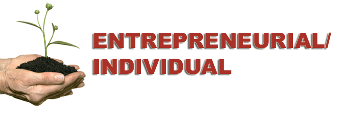 SBEX Entrepreneurial Individual