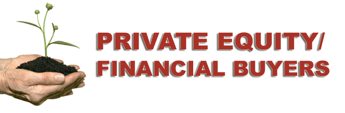 SBEX Private Equity/Financial Buyers