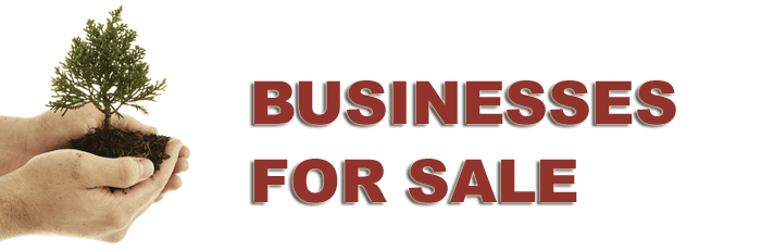 Businesses for Sale