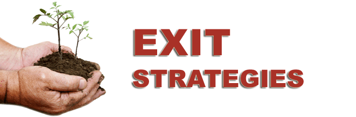 SBEX Exit Strategies