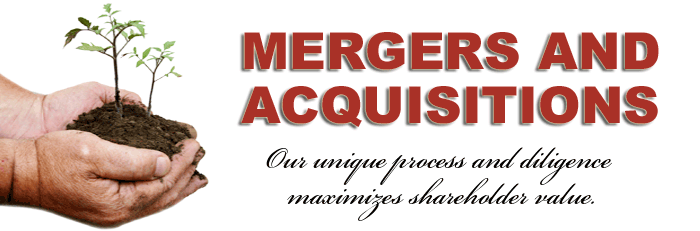SBEX Mergers and Acquisitions